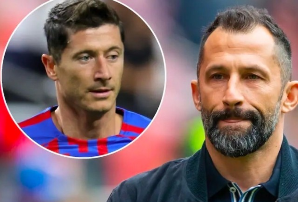 是重返巅峰 是重返巅峰