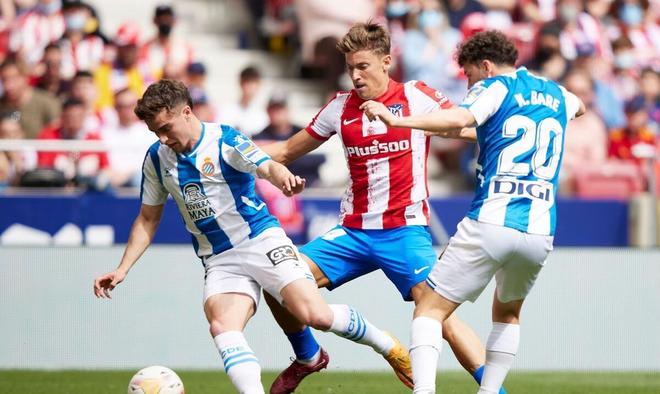 帕金斯所说 帕金斯所说