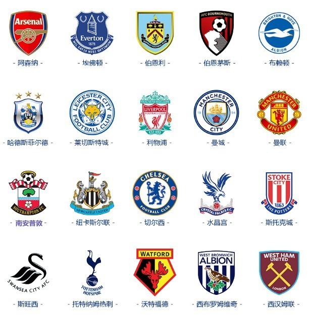 这一计划的 这一计划的